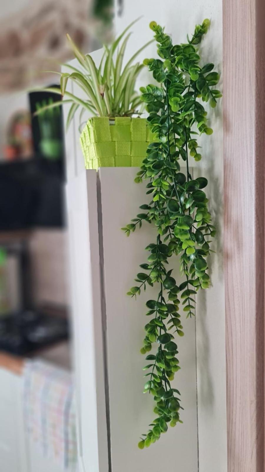 Lo Stazzo Della Dottoressa Enas Zewnętrze zdjęcie